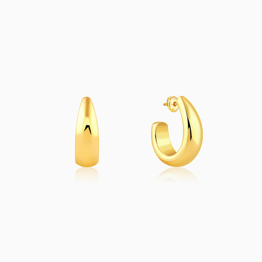 Golden Trendy Hoop Earrings