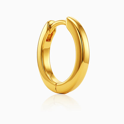 Golden Shine Hoop Earrings