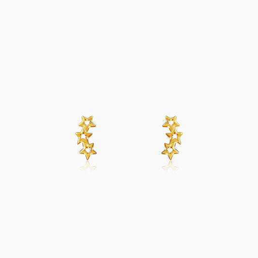 Golden Multi Twinkle Earrings