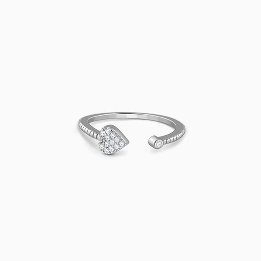 Silver Lifelong Ring